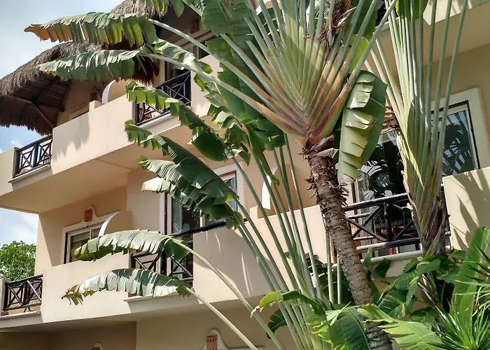 Hotel Riviera Del Sol Riviera Maya